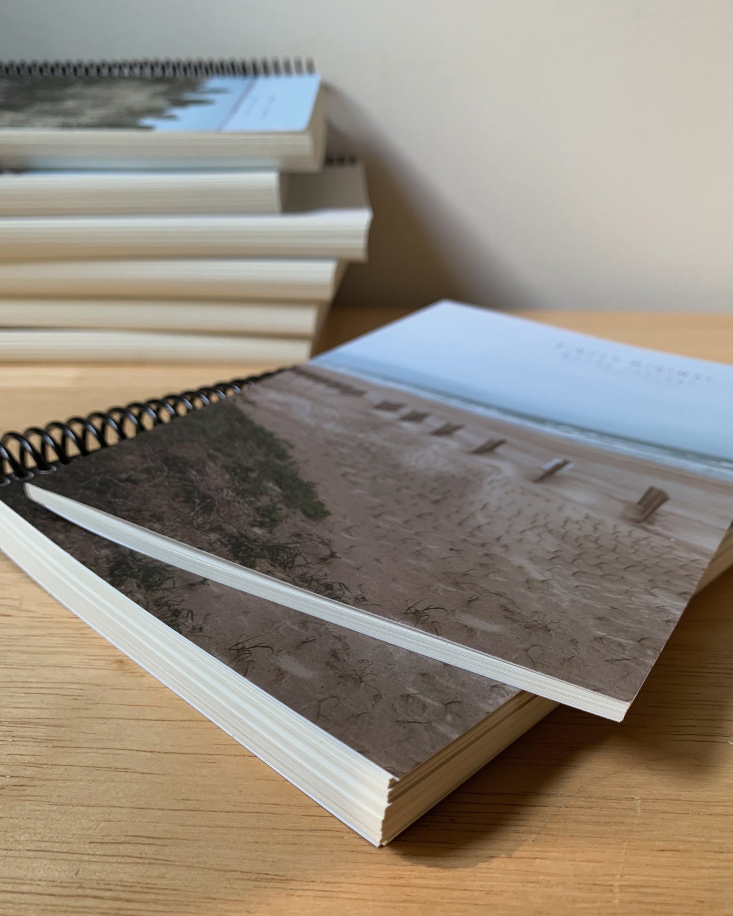 3 Month Money Journal - Basic - Sandy Beach